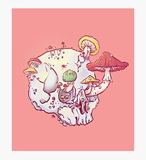 Skull No.1 // The Mushrooms One Photographic Print