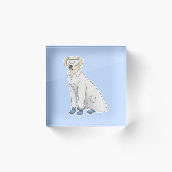 Science Lab Acrylic Block