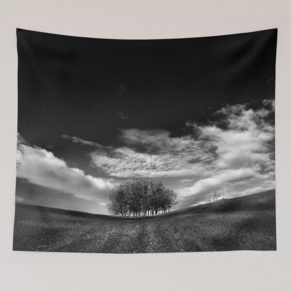 Item preview, Evening landscape with small tree copse designed and sold by vickylewisphoto.