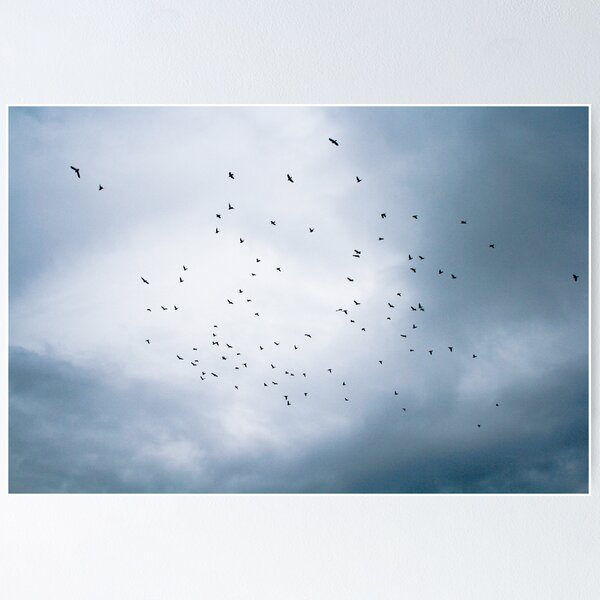 Item preview, In the sky designed and sold by Jonathon Wilson.