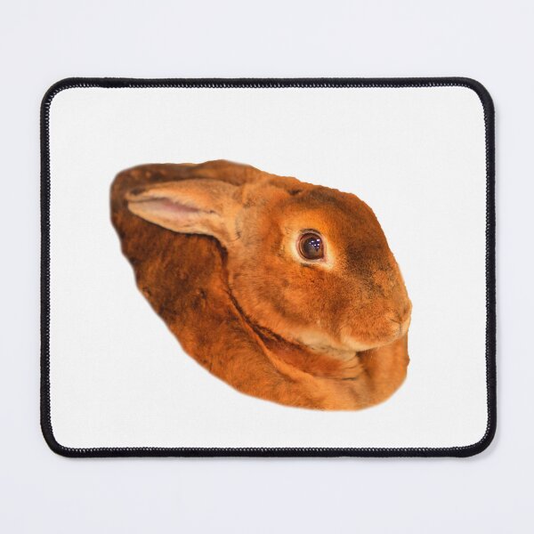 Item preview, Cuddly Rex Rabbit designed and sold by Dalyndigital Photography.