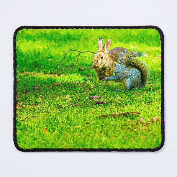 Item preview, Me and my Pal Bunnykins designed and sold by Dalyndigital Photography.