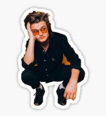 Joe Keery Stranger Things Star Sticker