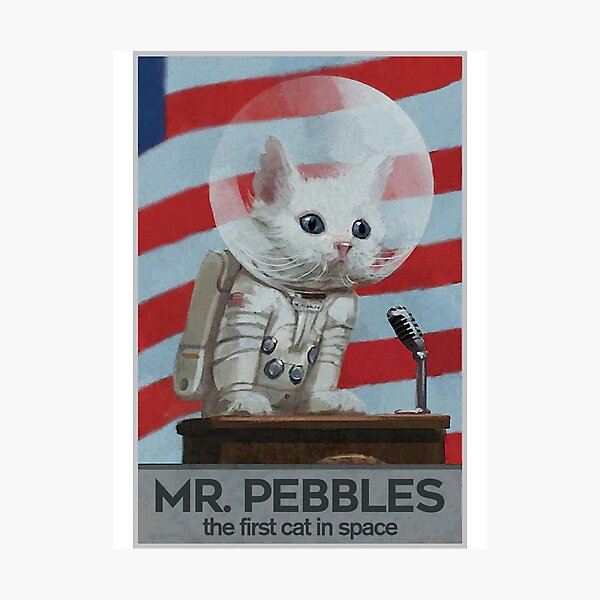 Item preview, MR PEBBLES designed and sold by chromospace.