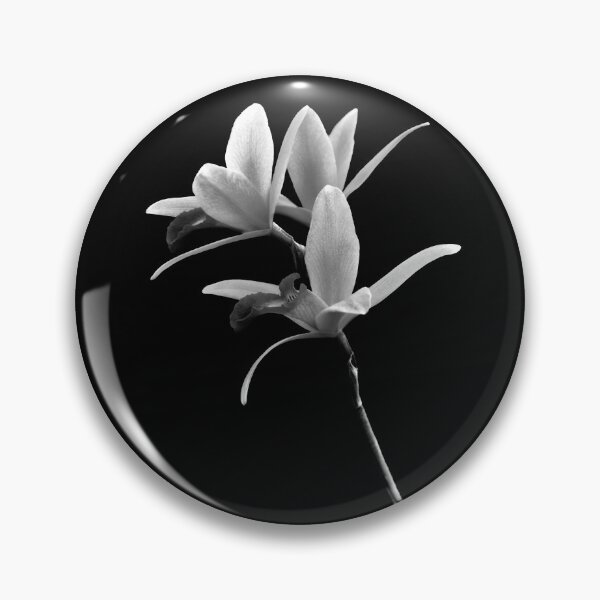 Item preview, Flower - Orchid -  The Exquisite Beauty of Laelia Orchids BW designed and sold by Mike Savad Photography.