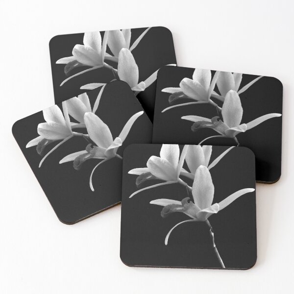 Item preview, Flower - Orchid -  The Exquisite Beauty of Laelia Orchids BW designed and sold by Mike Savad Photography.