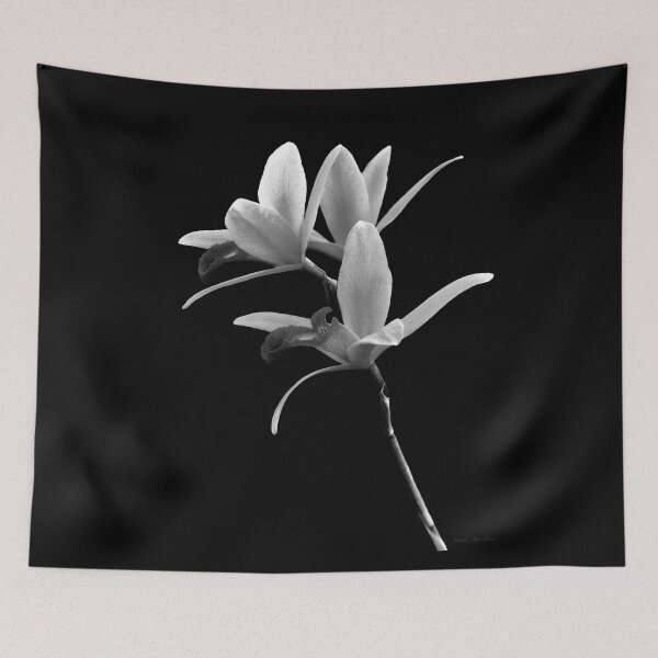 Item preview, Flower - Orchid -  The Exquisite Beauty of Laelia Orchids BW designed and sold by Mike Savad Photography.