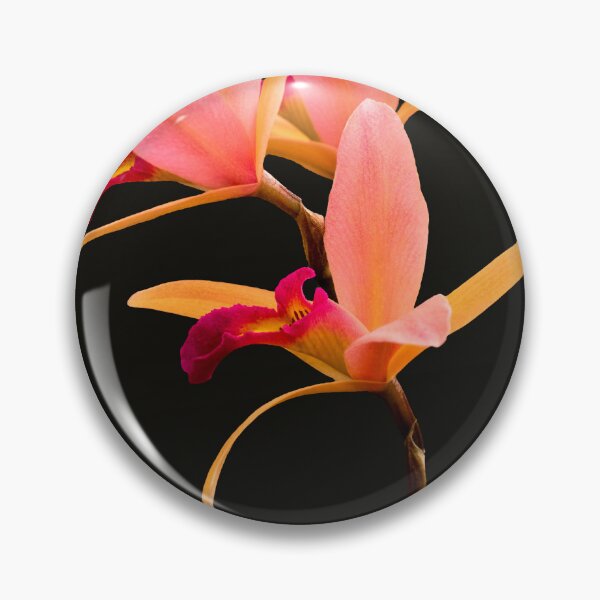 Item preview, Flower - Orchid -  The Exquisite Beauty of Laelia Orchids designed and sold by Mike Savad Photography.