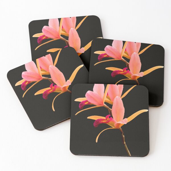 Item preview, Flower - Orchid -  The Exquisite Beauty of Laelia Orchids designed and sold by Mike Savad Photography.