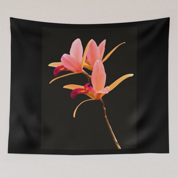 Item preview, Flower - Orchid -  The Exquisite Beauty of Laelia Orchids designed and sold by Mike Savad Photography.
