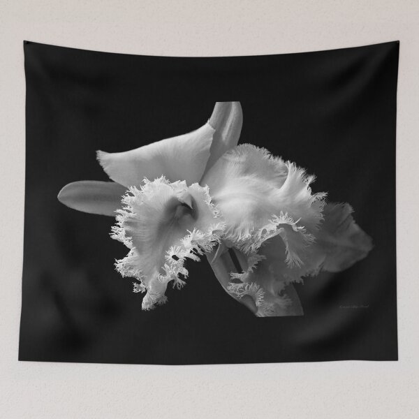 Item preview, Flower - Orchid - Frilled to see you designed and sold by Mike Savad Photography.
