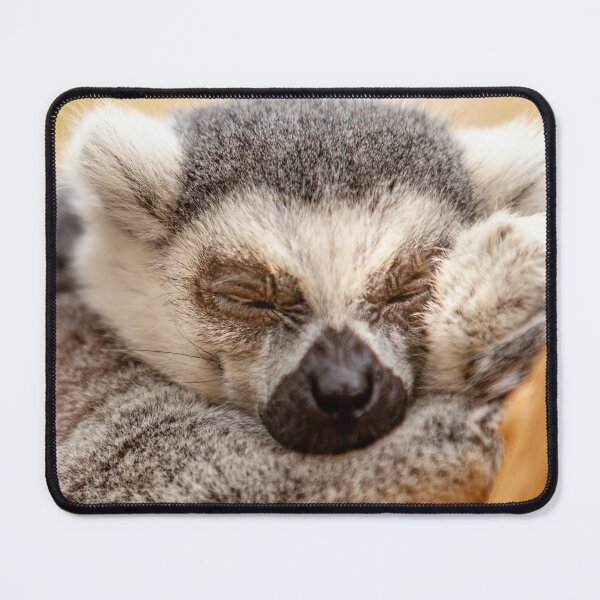 Item preview, Just Snoozing! designed and sold by Dalyndigital Photography.
