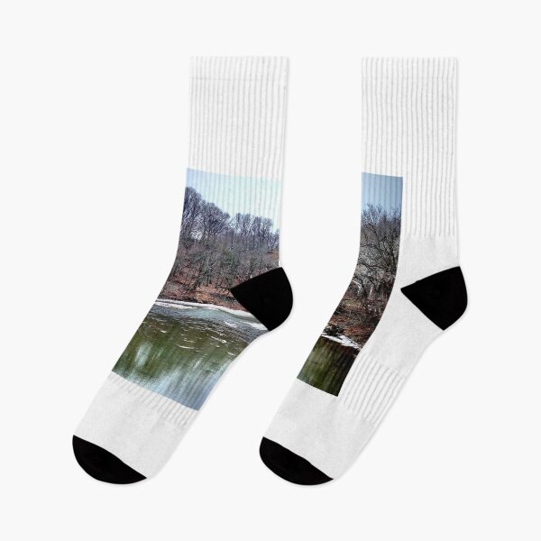 Item preview, Reflections in the winter designed and sold by ROBERT NIEDERRITER.