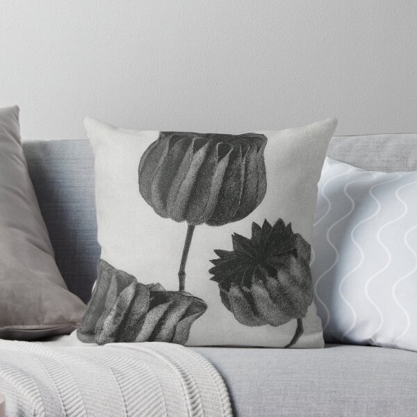 Item preview, Lime Mallow Vintage Botanical Print by Karl Blossfeldt designed and sold by Pretty  Pixel.