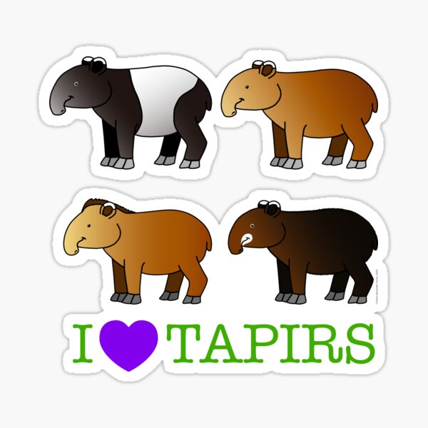 Tapir Malayan, Soft Fuzzy Stickers set of 10 Stickers, Kids Gift, Sticky  Patches T068 B50