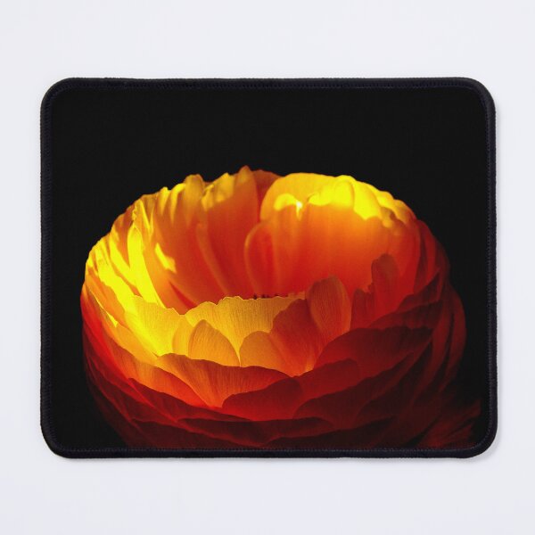 Item preview, Ranunculus designed and sold by JonDelorme.