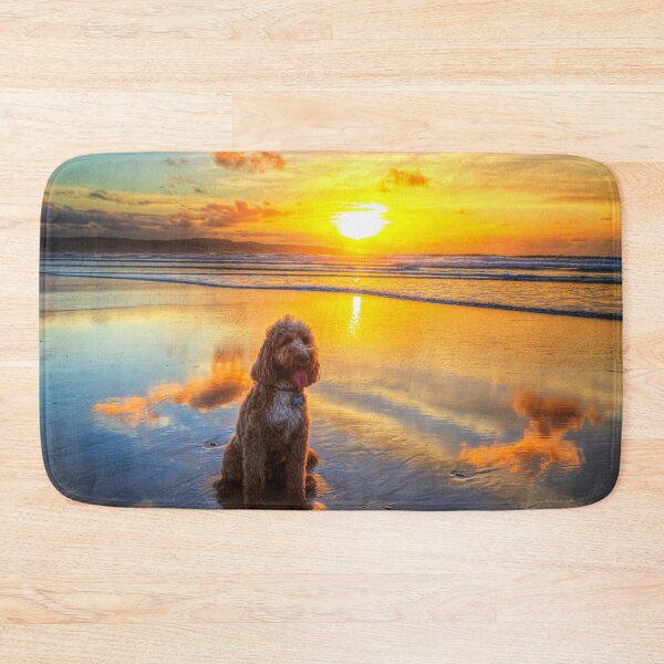 Artikelvorschau, Cockapoo, Sonnenuntergang am Strand von Hayle entworfen und verkauft von Paul Thompson Photography.