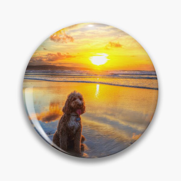 Artikelvorschau, Cockapoo, Sonnenuntergang am Strand von Hayle entworfen und verkauft von Paul Thompson Photography.