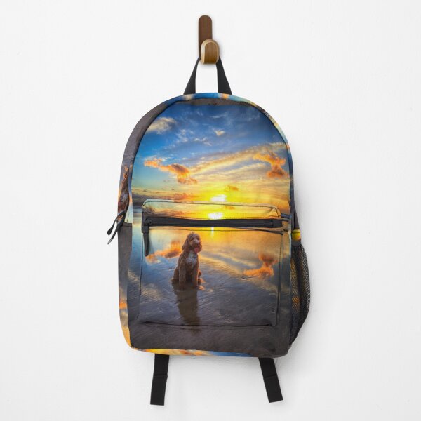 Item preview, Cockapoo, Hayle Beach Sunset designed and sold by Paul Thompson Photography.