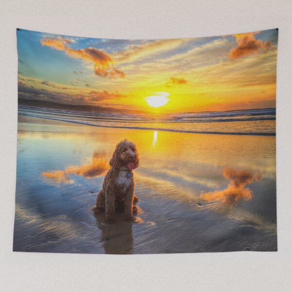 Item preview, Cockapoo, Hayle Beach Sunset designed and sold by Paul Thompson Photography.