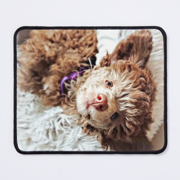 Item preview, Little Toy Poodle Puppy designed and sold by Liz Lane.