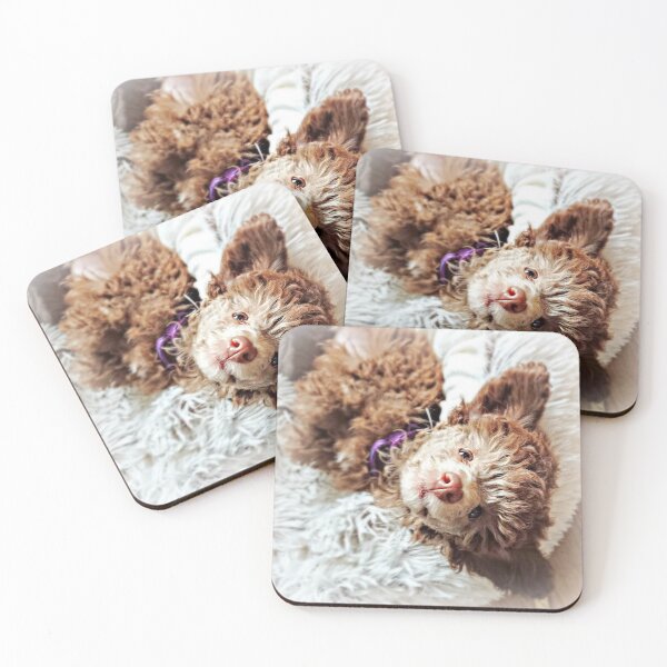 Item preview, Little Toy Poodle Puppy designed and sold by Liz Lane.