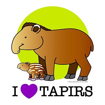 Imagen de la obra I LOVE TAPIRS de VISION TORRES