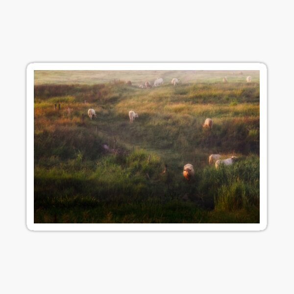 The cows Sticker