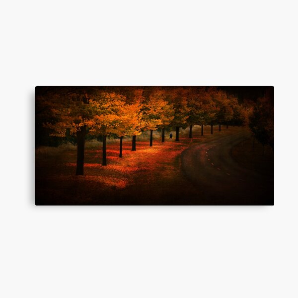 Walking Canvas Print