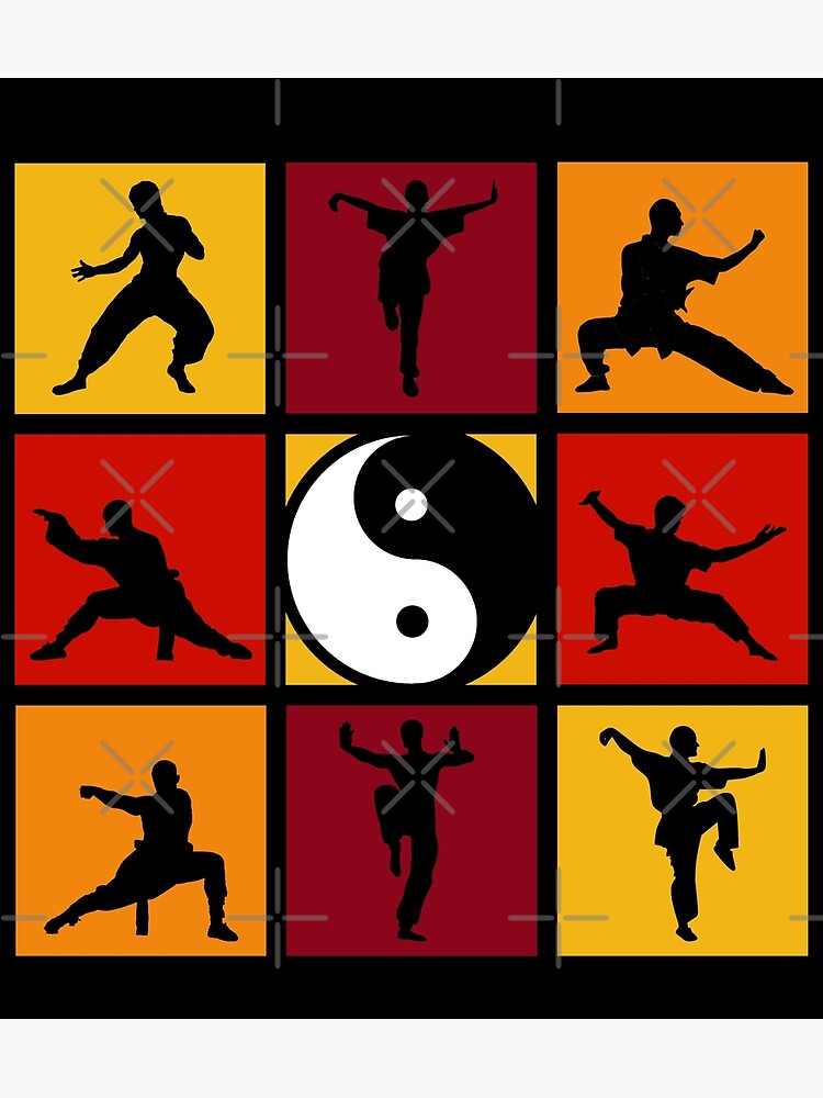 HD wallpaper: shaolin kung fu, swordplay, pose, one person, field,  lifestyles | Wallpaper Flare