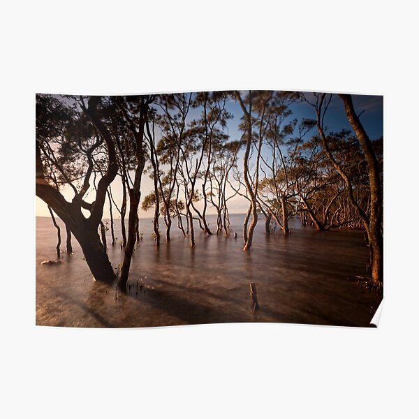 Side light Poster