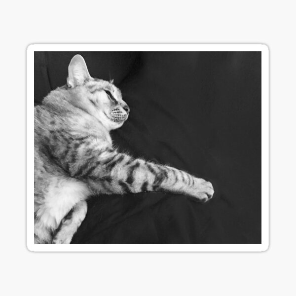 Sleeping Cat Snuggling Cat Cat Tapestry Cat Pillow Cat Notebook Sticker By Pollyscracker Redbubble - yaaas cat roblox