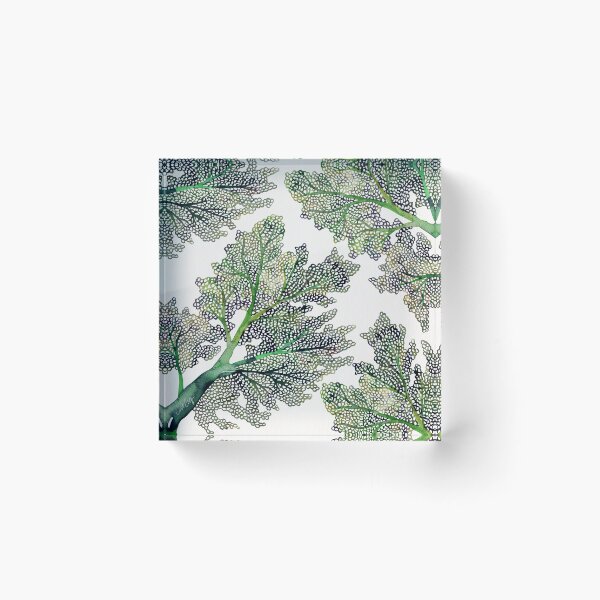 Item preview, Sea Fan Coral – Sage designed and sold by Cat Coquillette.