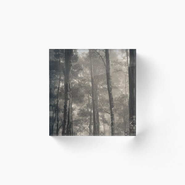 Barrington Mist Acrylic Block