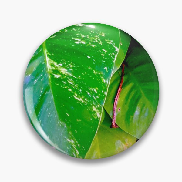 Item preview, Captivating Close-Up: Stunning Leaves in Sunlight designed and sold by PhotografeeMrsB.