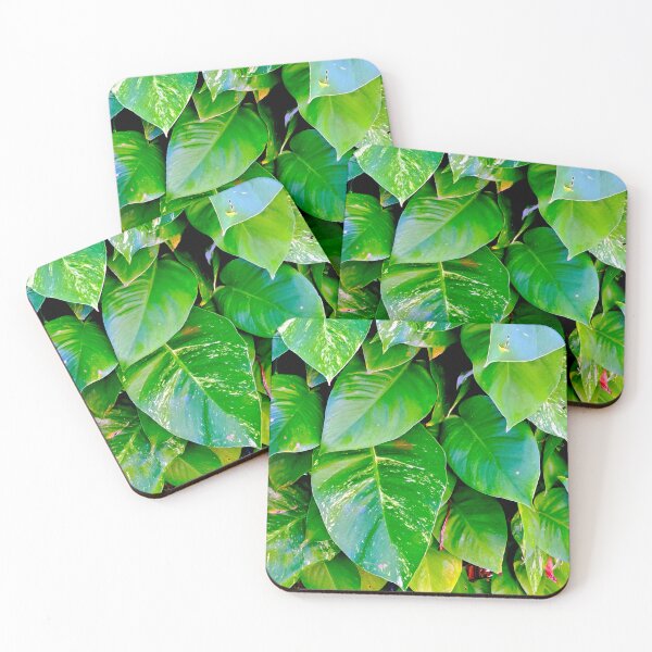Item preview, Captivating Close-Up: Stunning Leaves in Sunlight designed and sold by PhotografeeMrsB.