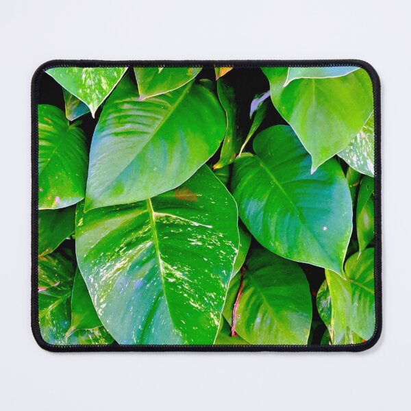 Item preview, Captivating Close-Up: Stunning Leaves in Sunlight designed and sold by PhotografeeMrsB.