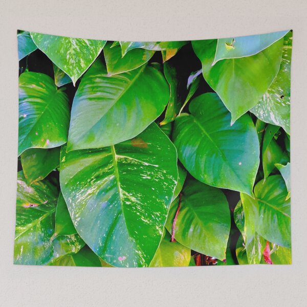 Item preview, Captivating Close-Up: Stunning Leaves in Sunlight designed and sold by PhotografeeMrsB.