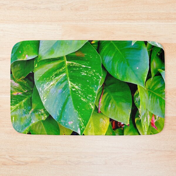 Item preview, Captivating Close-Up: Stunning Leaves in Sunlight designed and sold by PhotografeeMrsB.