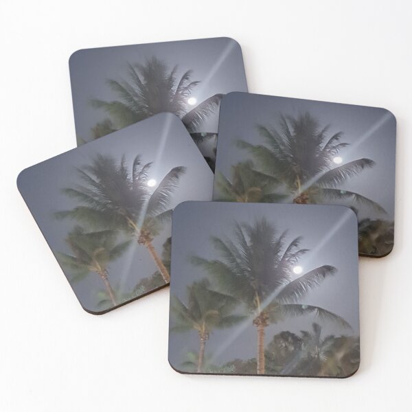 Item preview, Moonlit Oasis: Captivating Palm Trees Illuminated by the Moon designed and sold by PhotografeeMrsB.