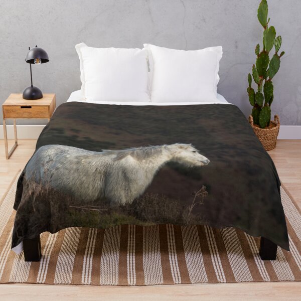 Item preview, Pony on a Hillside designed and sold by Jane Stanley Photography.