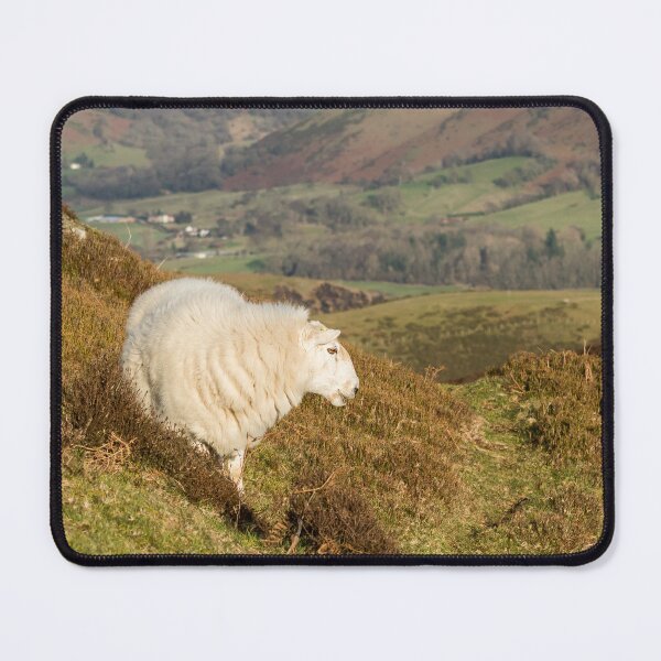 Item preview, Sheep on the Long Mynd designed and sold by Jane Stanley Photography.