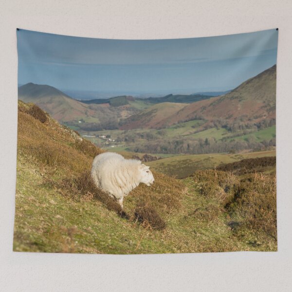 Item preview, Sheep on the Long Mynd designed and sold by Jane Stanley Photography.