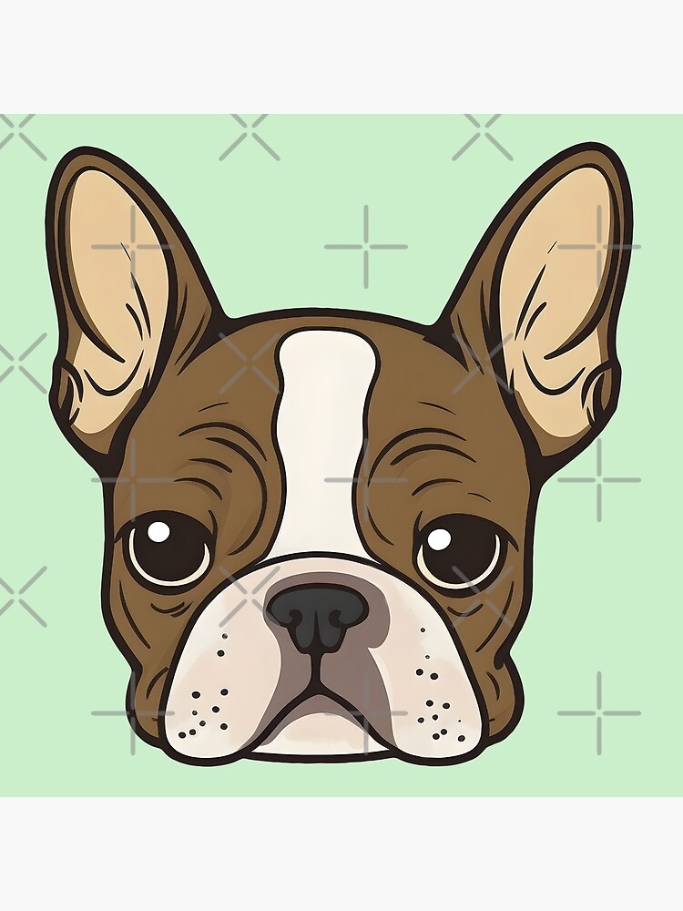 dibujo de cara de boston terrier