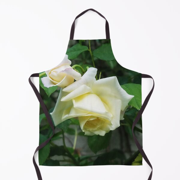 Item preview, Yellow Rose, 'Celine Forestier' designed and sold by Betty Mackey.