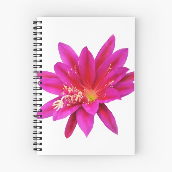Item preview, Special Flower  designed and sold by heatherfriedman.