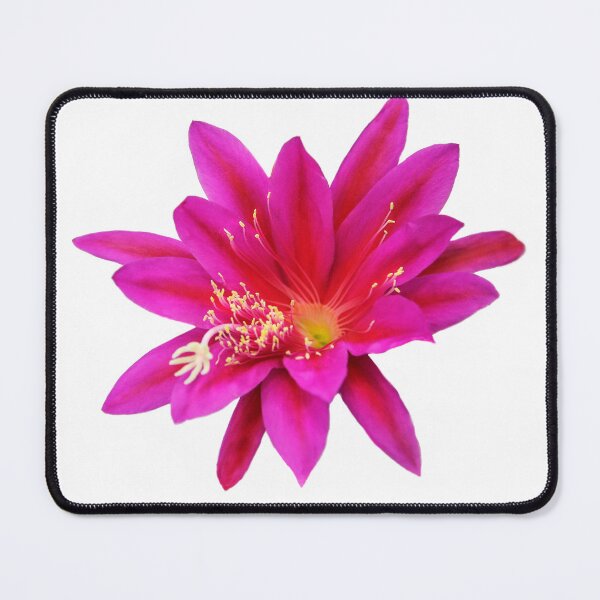 Item preview, Special Flower designed and sold by heatherfriedman.