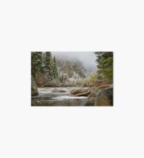 Spring Snow Poudre River N Co. Art Board