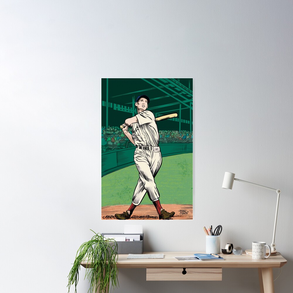 Baseball Ilustration Series 2 Poster for Sale by TheGraphicPath