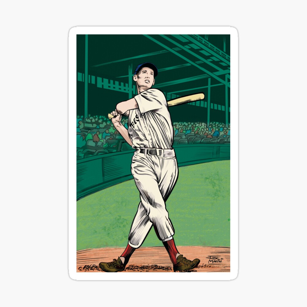 Baseball Ilustration Series 2 Poster for Sale by TheGraphicPath